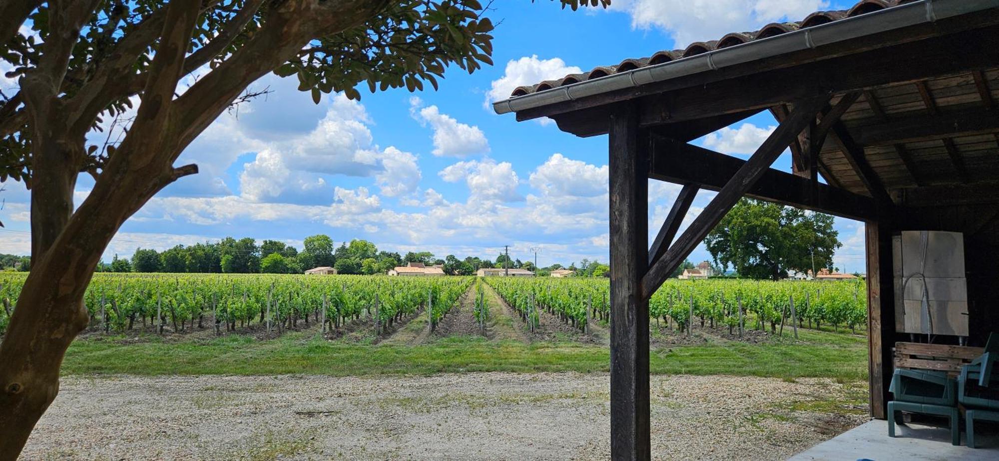 Gîte du Château Le Conte au coeur du vignoble de Saint Emilion Exterior foto